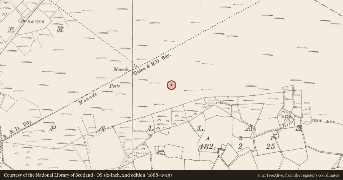 Ordnance Survey six-inch map, 2nd edition (1888–1915) covering the location of Structure - peatland, Pallasboy, County Westmeath, with a pin at the register's coordinates