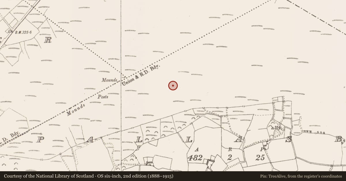 Ordnance Survey six-inch map, 2nd edition (1888–1915) covering the location of Structure - peatland, Pallasboy, County Westmeath, with a pin at the register's coordinates