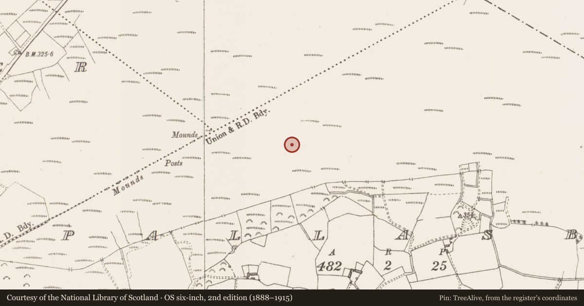 Ordnance Survey six-inch map, 2nd edition (1888–1915) covering the location of Structure - peatland, Pallasboy, County Westmeath, with a pin at the register's coordinates