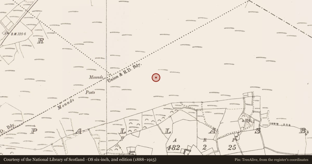 Ordnance Survey six-inch map, 2nd edition (1888–1915) covering the location of Structure - peatland, Pallasboy, County Westmeath, with a pin at the register's coordinates