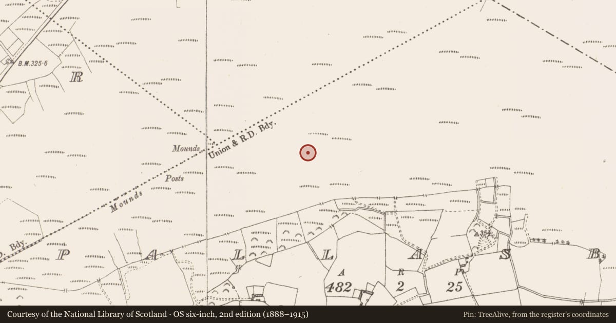 Ordnance Survey six-inch map, 2nd edition (1888–1915) covering the location of Structure - peatland, Pallasboy, County Westmeath, with a pin at the register's coordinates