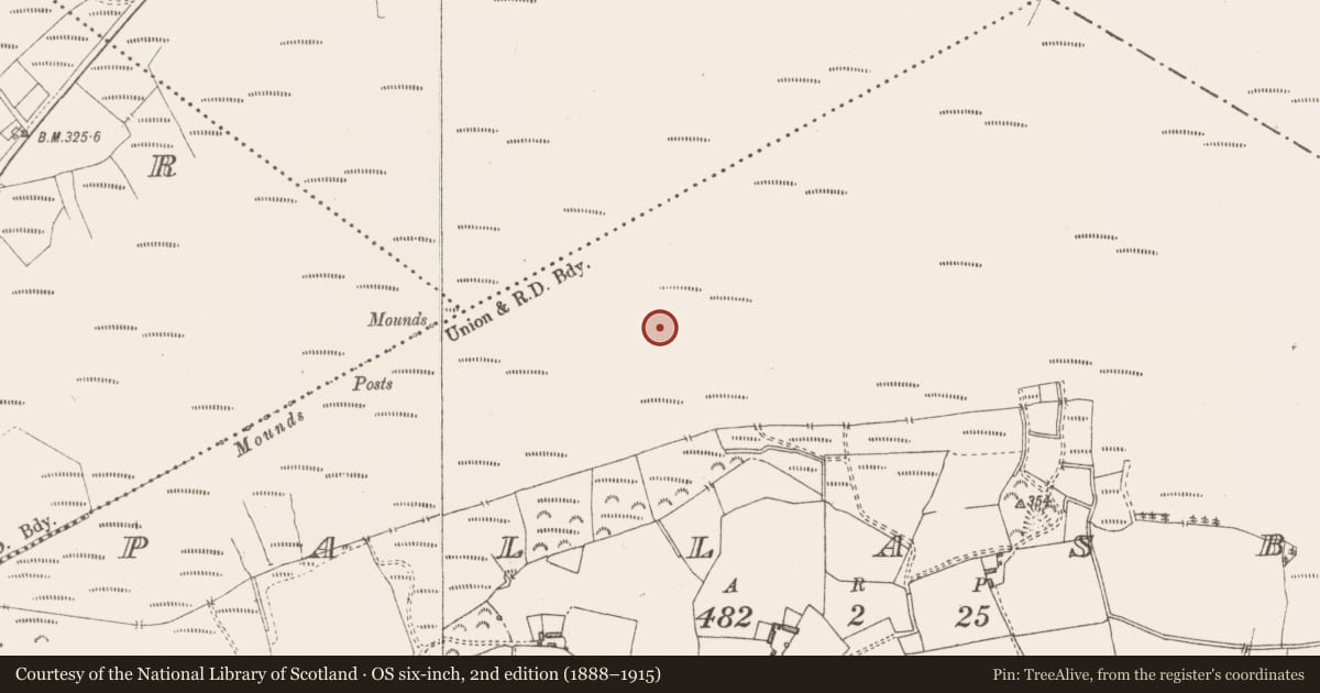 Ordnance Survey six-inch map, 2nd edition (1888–1915) covering the location of Structure - peatland, Pallasboy, County Westmeath, with a pin at the register's coordinates