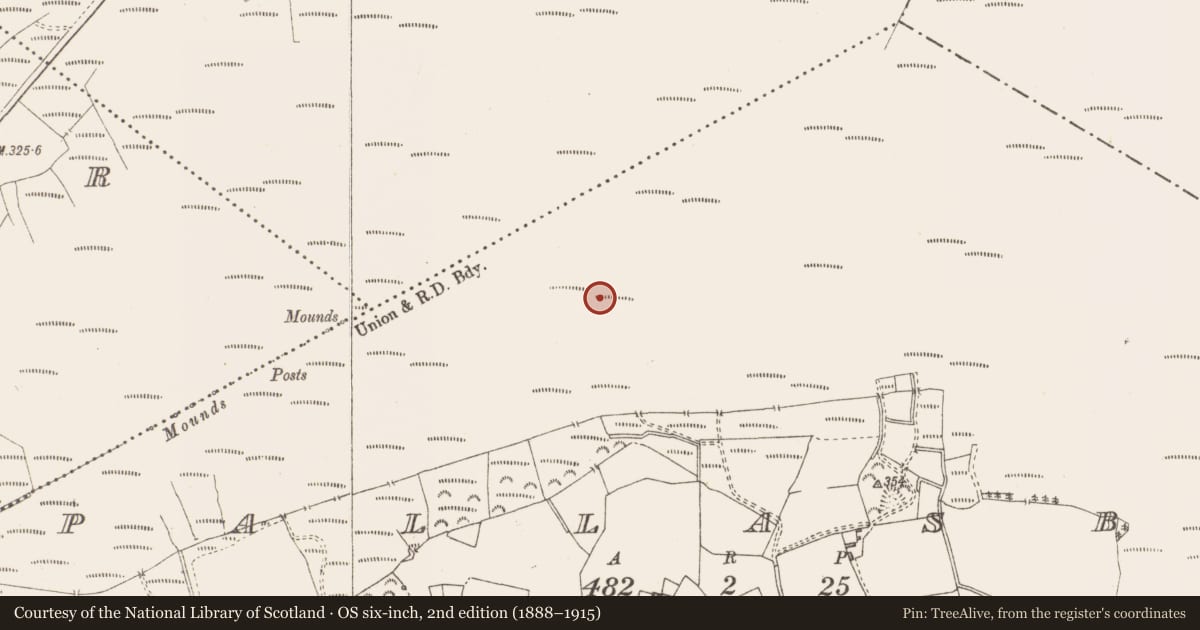 Ordnance Survey six-inch map, 2nd edition (1888–1915) covering the location of Structure - peatland, Pallasboy, County Westmeath, with a pin at the register's coordinates