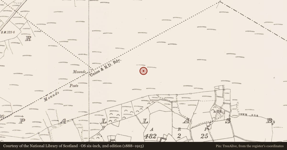 Ordnance Survey six-inch map, 2nd edition (1888–1915) covering the location of Structure - peatland, Pallasboy, County Westmeath, with a pin at the register's coordinates