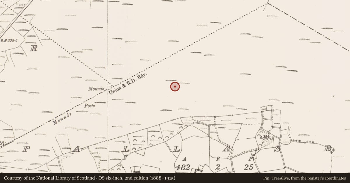 Ordnance Survey six-inch map, 2nd edition (1888–1915) covering the location of Structure - peatland, Pallasboy, County Westmeath, with a pin at the register's coordinates