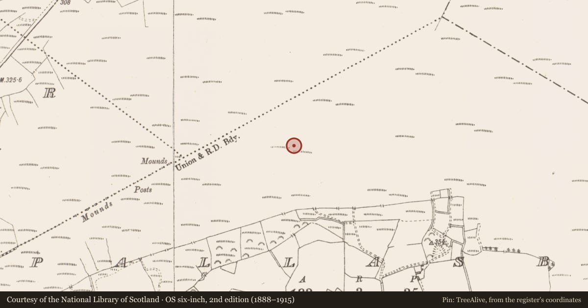 Ordnance Survey six-inch map, 2nd edition (1888–1915) covering the location of Road - class 3 togher, Pallasboy, County Westmeath, with a pin at the register's coordinates