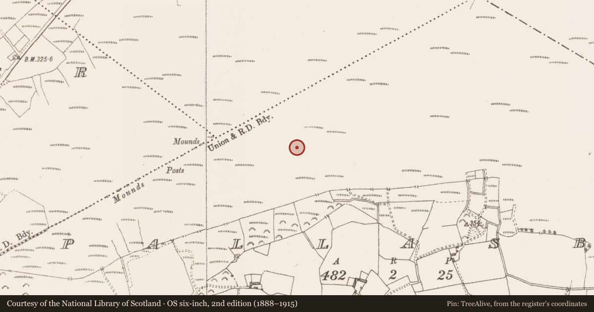 Ordnance Survey six-inch map, 2nd edition (1888–1915) covering the location of Road - class 3 togher, Pallasboy, County Westmeath, with a pin at the register's coordinates