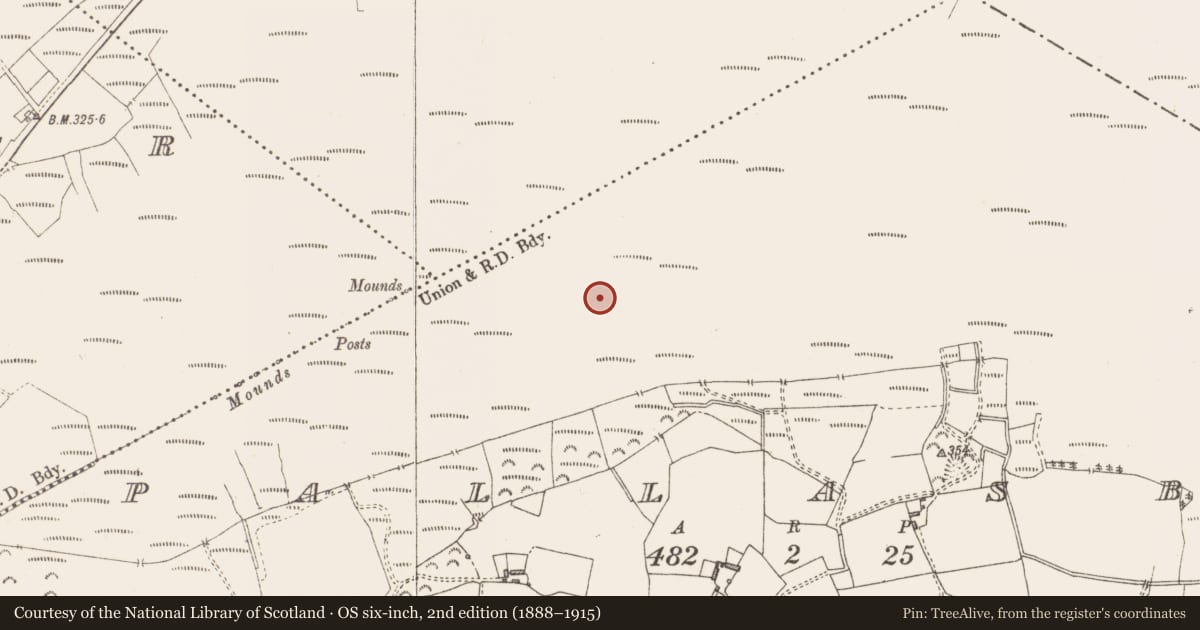 Ordnance Survey six-inch map, 2nd edition (1888–1915) covering the location of Structure - peatland, Pallasboy, County Westmeath, with a pin at the register's coordinates
