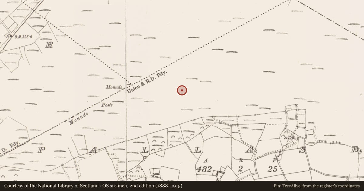 Ordnance Survey six-inch map, 2nd edition (1888–1915) covering the location of Road - class 3 togher, Pallasboy, County Westmeath, with a pin at the register's coordinates