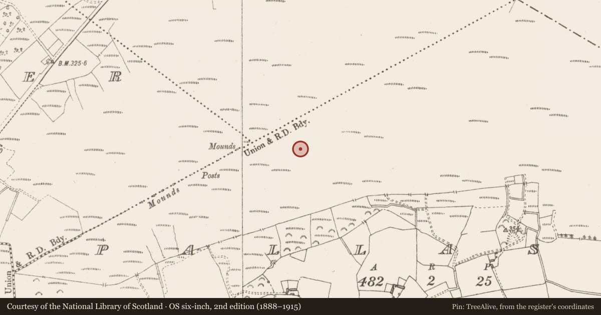 Ordnance Survey six-inch map, 2nd edition (1888–1915) covering the location of Structure - peatland, Pallasboy, County Westmeath, with a pin at the register's coordinates