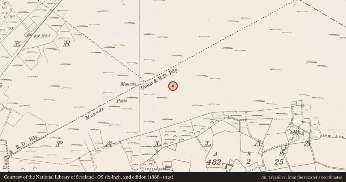 Ordnance Survey six-inch map, 2nd edition (1888–1915) covering the location of Structure - peatland, Pallasboy, County Westmeath, with a pin at the register's coordinates