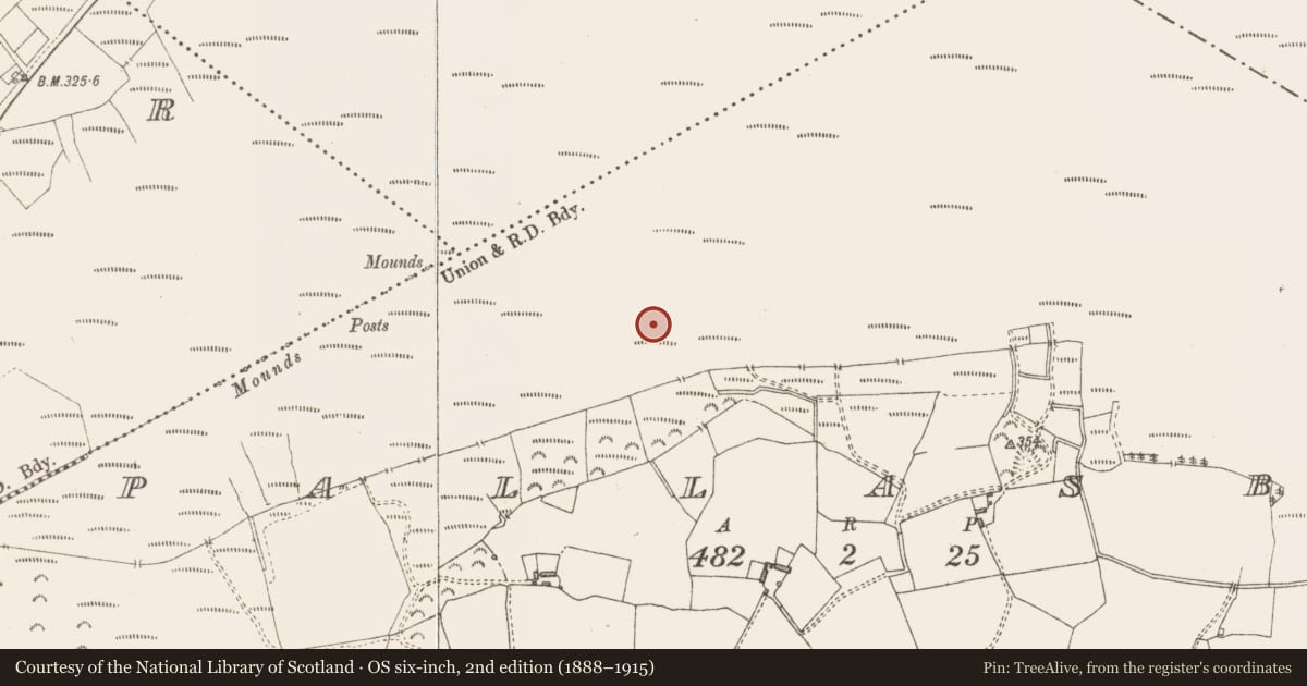 Ordnance Survey six-inch map, 2nd edition (1888–1915) covering the location of Structure - peatland, Pallasboy, County Westmeath, with a pin at the register's coordinates