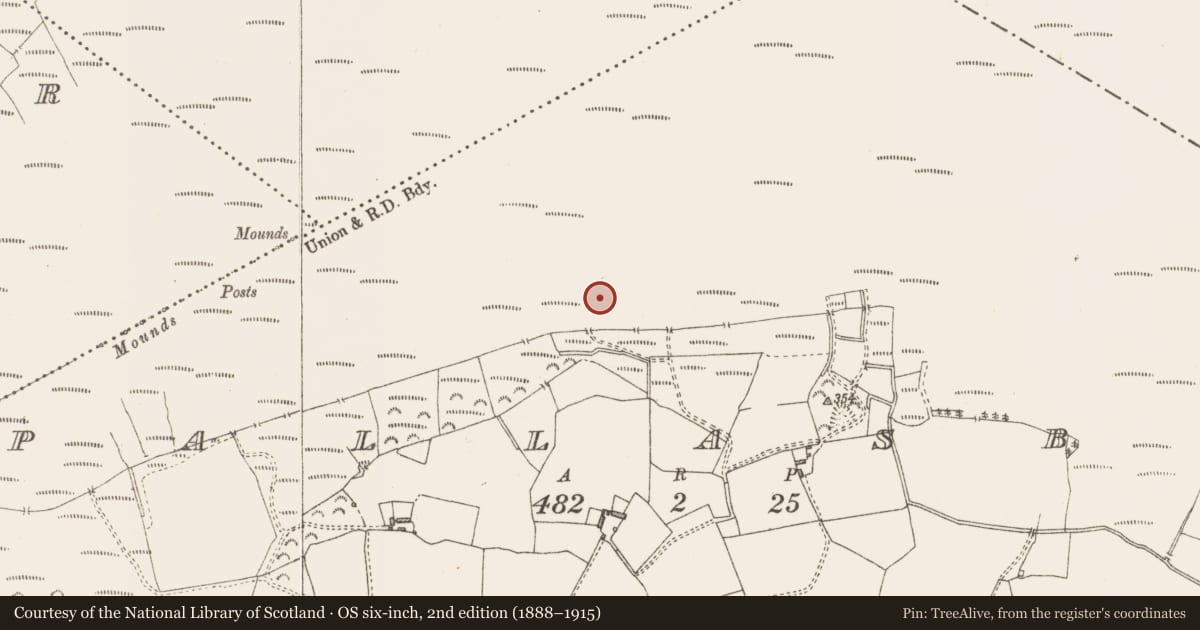 Ordnance Survey six-inch map, 2nd edition (1888–1915) covering the location of Structure - peatland, Pallasboy, County Westmeath, with a pin at the register's coordinates