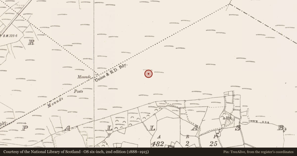 Ordnance Survey six-inch map, 2nd edition (1888–1915) covering the location of Structure - peatland, Pallasboy, County Westmeath, with a pin at the register's coordinates