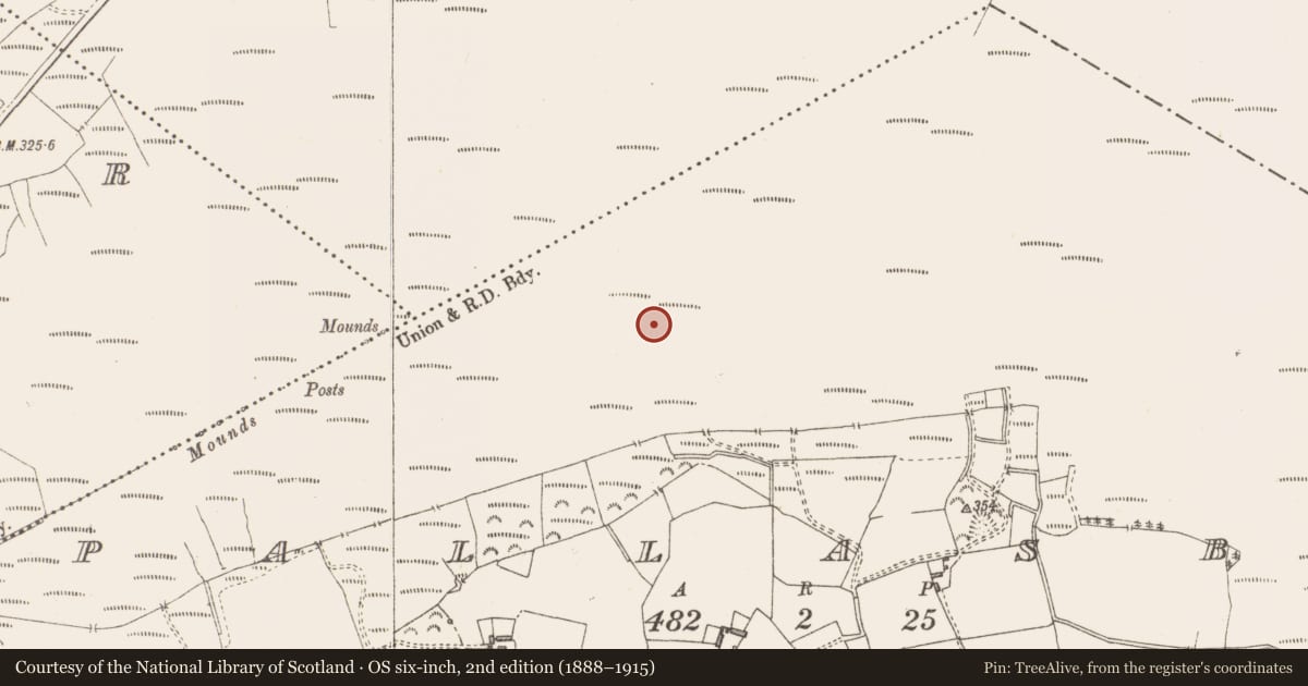 Ordnance Survey six-inch map, 2nd edition (1888–1915) covering the location of Structure - peatland, Pallasboy, County Westmeath, with a pin at the register's coordinates