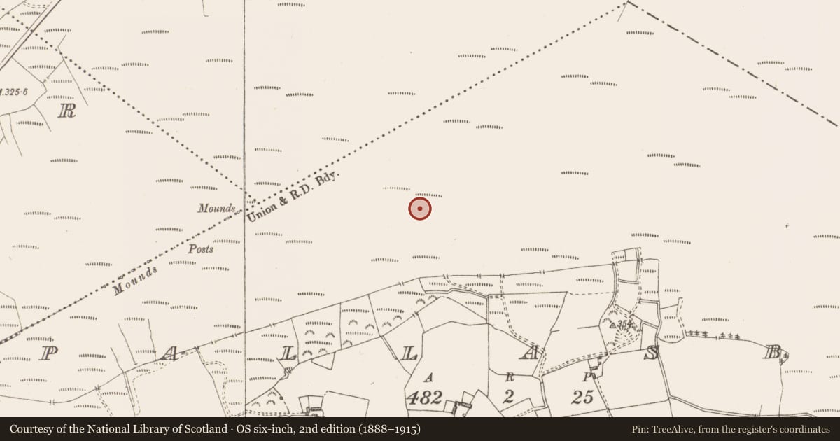 Ordnance Survey six-inch map, 2nd edition (1888–1915) covering the location of Structure - peatland, Pallasboy, County Westmeath, with a pin at the register's coordinates