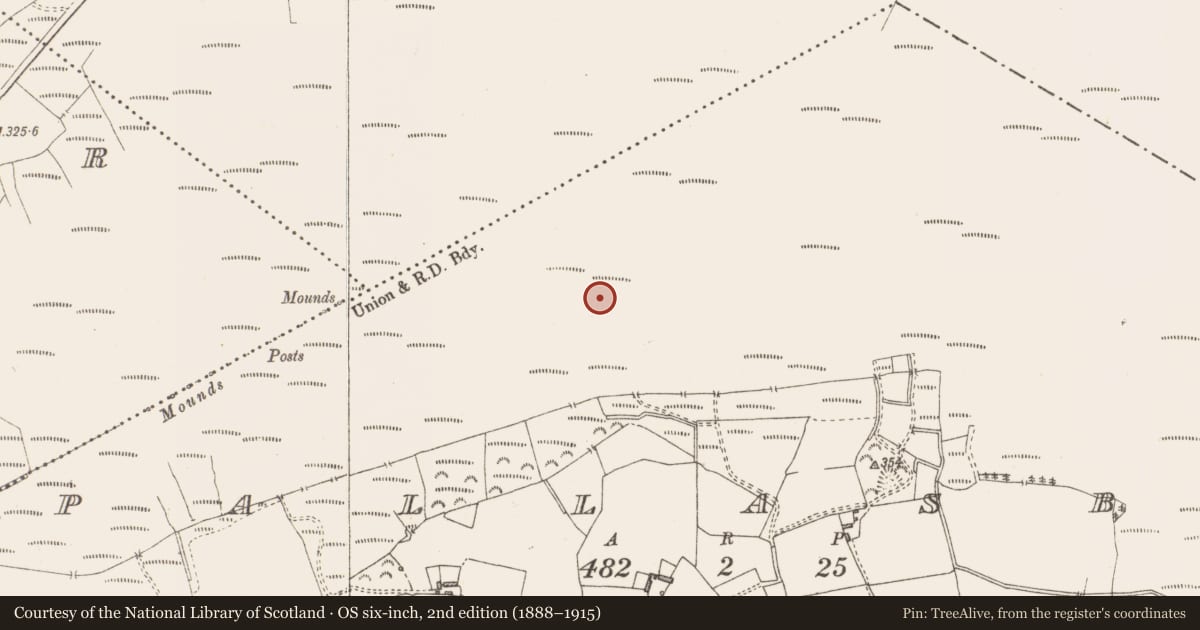 Ordnance Survey six-inch map, 2nd edition (1888–1915) covering the location of Road - class 3 togher, Pallasboy, County Westmeath, with a pin at the register's coordinates