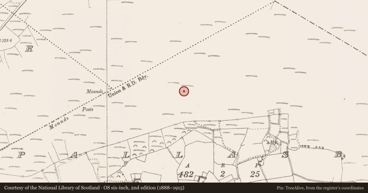 Ordnance Survey six-inch map, 2nd edition (1888–1915) covering the location of Structure - peatland, Pallasboy, County Westmeath, with a pin at the register's coordinates