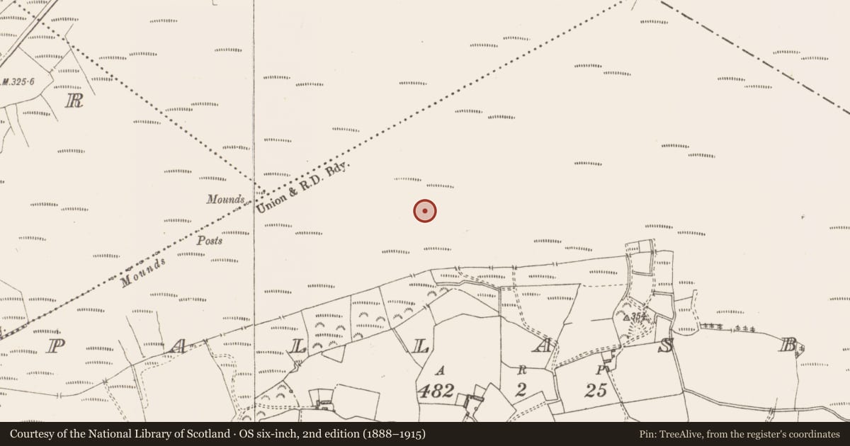 Ordnance Survey six-inch map, 2nd edition (1888–1915) covering the location of Structure - peatland, Pallasboy, County Westmeath, with a pin at the register's coordinates