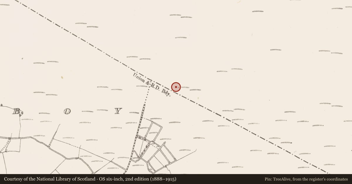 Ordnance Survey six-inch map, 2nd edition (1888–1915) covering the location of Structure - peatland, Rathgarrett, County Westmeath, with a pin at the register's coordinates