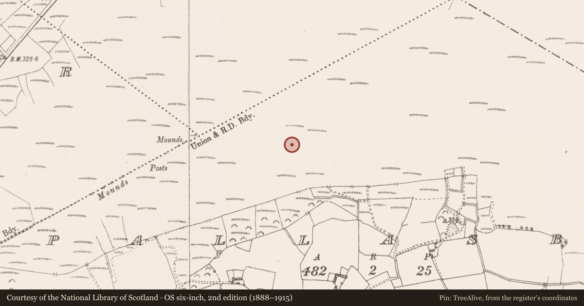 Ordnance Survey six-inch map, 2nd edition (1888–1915) covering the location of Road - class 3 togher, Pallasboy, County Westmeath, with a pin at the register's coordinates