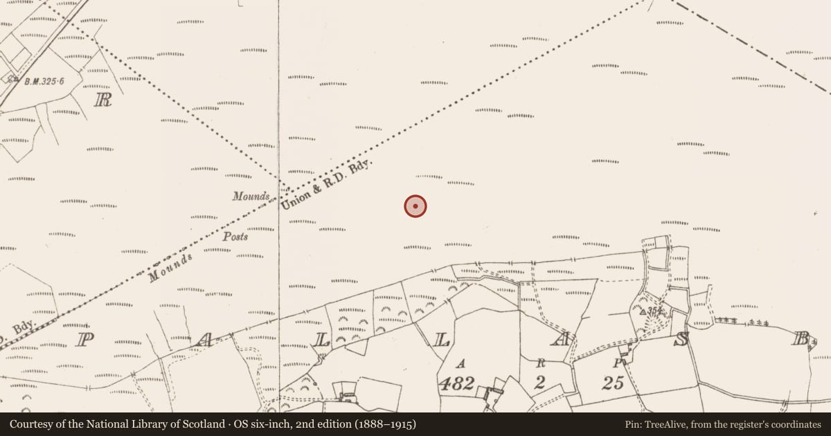 Ordnance Survey six-inch map, 2nd edition (1888–1915) covering the location of Structure - peatland, Pallasboy, County Westmeath, with a pin at the register's coordinates
