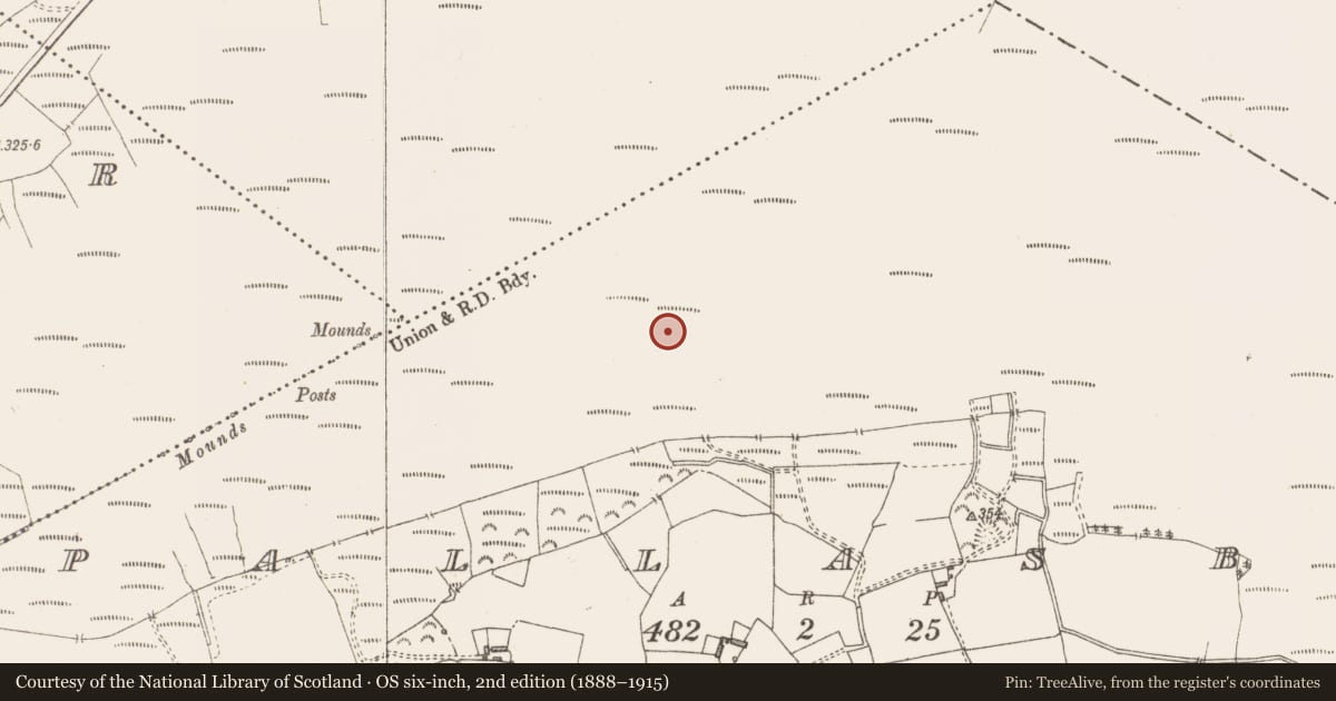 Ordnance Survey six-inch map, 2nd edition (1888–1915) covering the location of Road - class 2 togher, Pallasboy, County Westmeath, with a pin at the register's coordinates