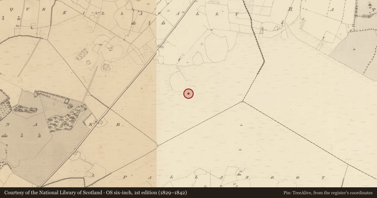 Ordnance Survey six-inch map, 1st edition (1829–1842) covering the location of Road - class 3 togher, Killavally, County Westmeath, with a pin at the register's coordinates