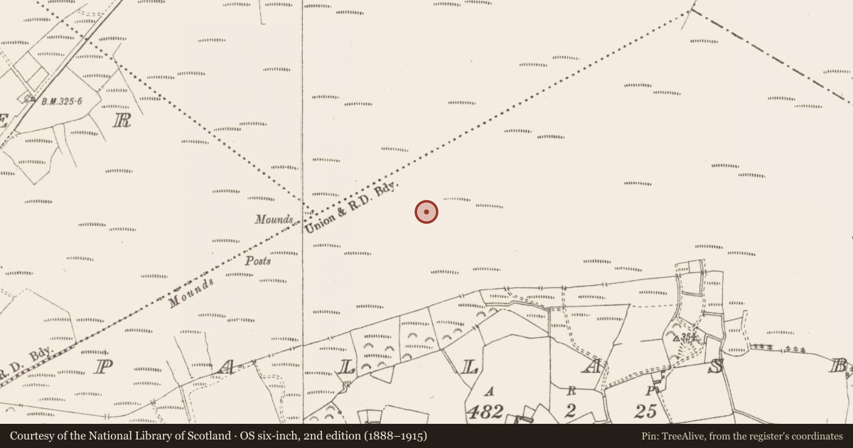 Ordnance Survey six-inch map, 2nd edition (1888–1915) covering the location of Road - class 3 togher, Pallasboy, County Westmeath, with a pin at the register's coordinates