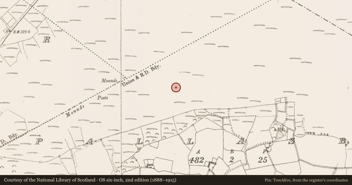 Ordnance Survey six-inch map, 2nd edition (1888–1915) covering the location of Road - class 3 togher, Pallasboy, County Westmeath, with a pin at the register's coordinates