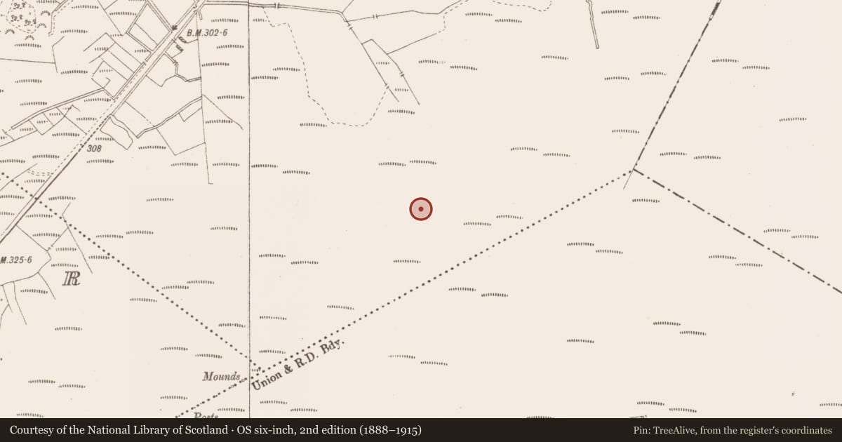 Ordnance Survey six-inch map, 2nd edition (1888–1915) covering the location of Road - class 3 togher, Killavally, County Westmeath, with a pin at the register's coordinates