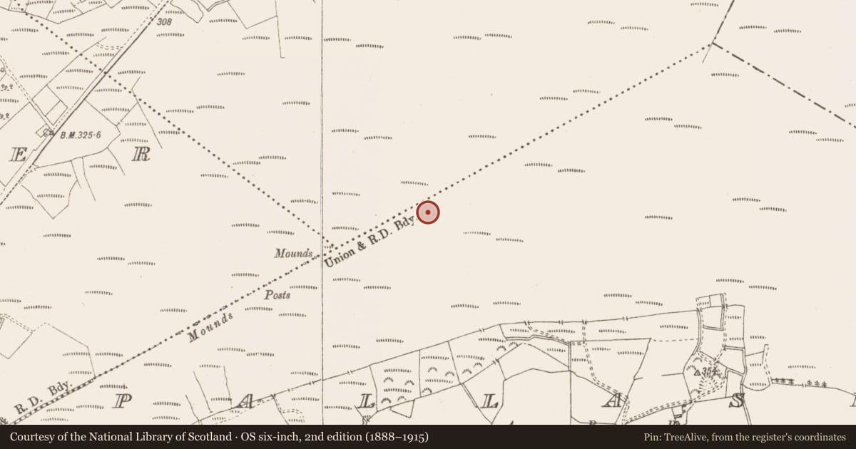 Ordnance Survey six-inch map, 2nd edition (1888–1915) covering the location of Structure - peatland, Pallasboy, County Westmeath, with a pin at the register's coordinates
