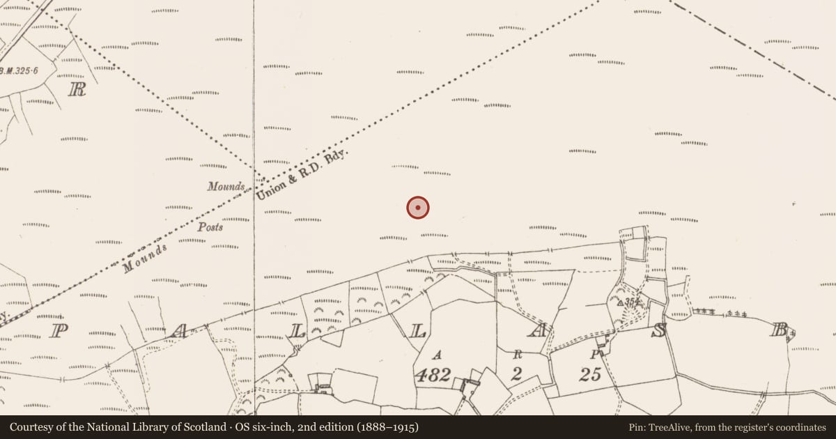 Ordnance Survey six-inch map, 2nd edition (1888–1915) covering the location of Road - class 3 togher, Pallasboy, County Westmeath, with a pin at the register's coordinates