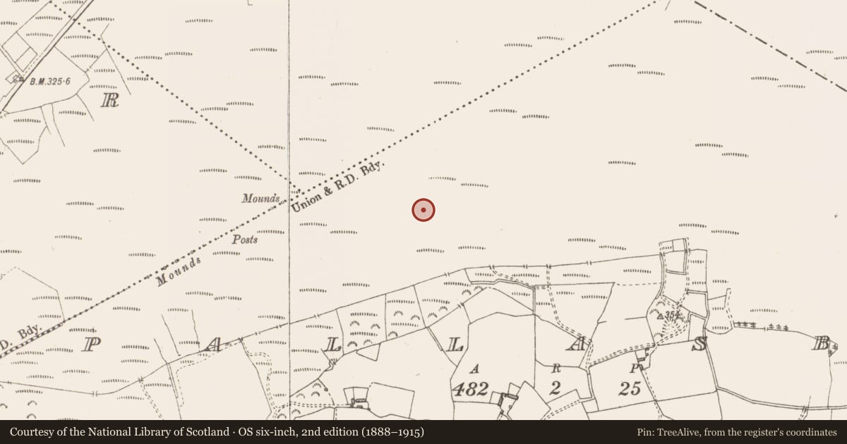 Ordnance Survey six-inch map, 2nd edition (1888–1915) covering the location of Road - class 3 togher, Pallasboy, County Westmeath, with a pin at the register's coordinates