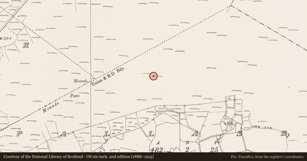 Ordnance Survey six-inch map, 2nd edition (1888–1915) covering the location of Road - class 3 togher, Pallasboy, County Westmeath, with a pin at the register's coordinates