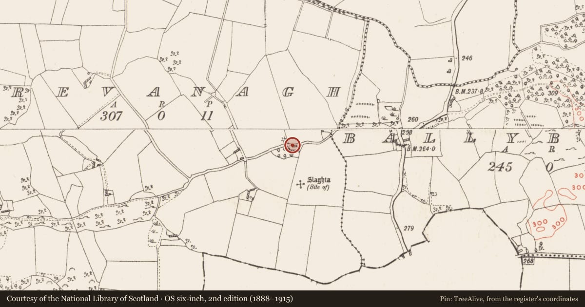 Ordnance Survey six-inch map, 2nd edition (1888–1915) covering the location of Barrow - unclassified, Frevanagh, County Westmeath, with a pin at the register's coordinates