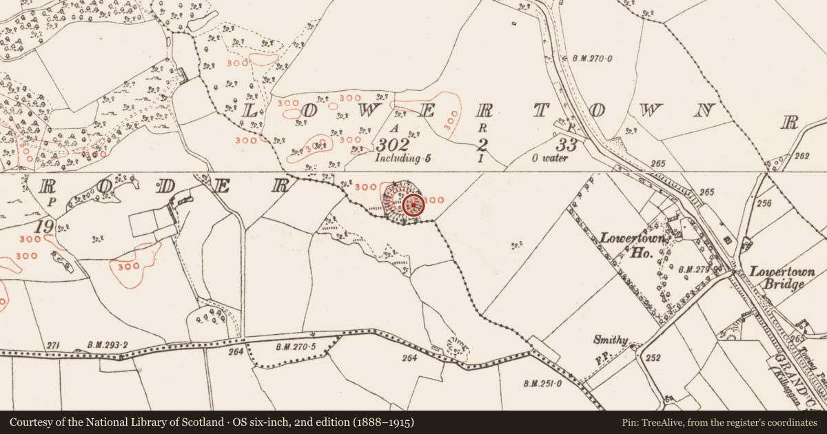 Ordnance Survey six-inch map, 2nd edition (1888–1915) covering the location of Ringfort - rath, Lowertown, County Westmeath, with a pin at the register's coordinates