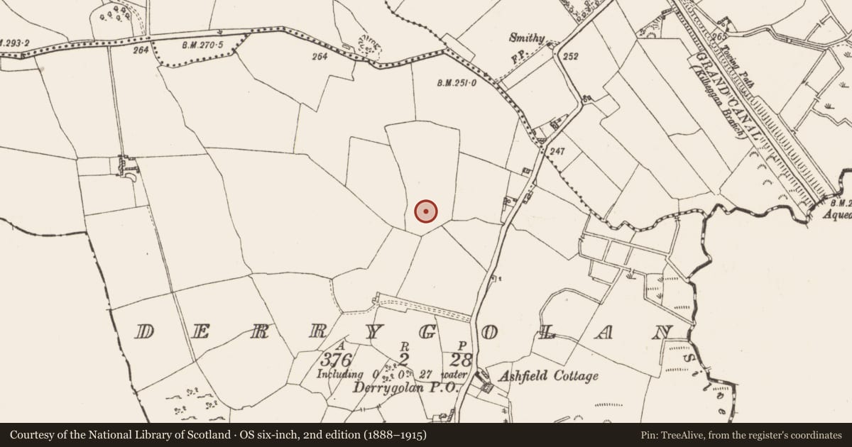 Ordnance Survey six-inch map, 2nd edition (1888–1915) covering the location of Ring-ditch, Derrygolan, County Westmeath, with a pin at the register's coordinates