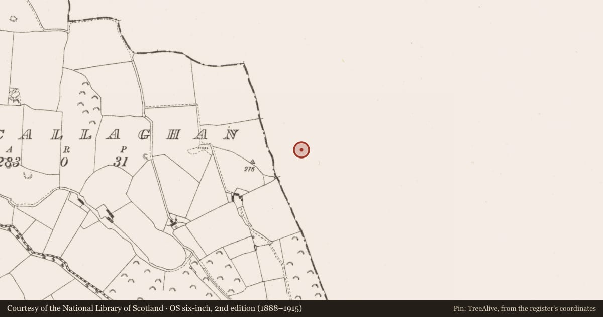 Ordnance Survey six-inch map, 2nd edition (1888–1915) covering the location of Moated site, Derrygolan, County Westmeath, with a pin at the register's coordinates