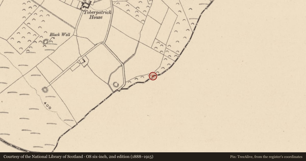 Ordnance Survey six-inch map, 2nd edition (1888–1915) covering the location of Ringfort - rath, Craan, County Wexford, with a pin at the register's coordinates