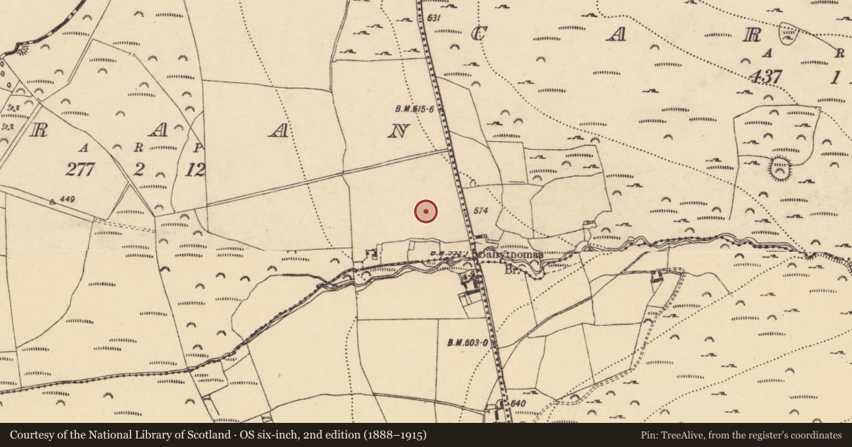 Ordnance Survey six-inch map, 2nd edition (1888–1915) covering the location of Ringfort - rath, Craan, County Wexford, with a pin at the register's coordinates