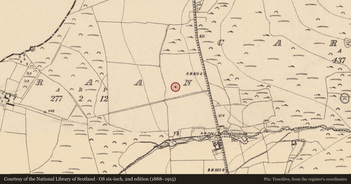 Ordnance Survey six-inch map, 2nd edition (1888–1915) covering the location of Standing stone, Craan, County Wexford, with a pin at the register's coordinates