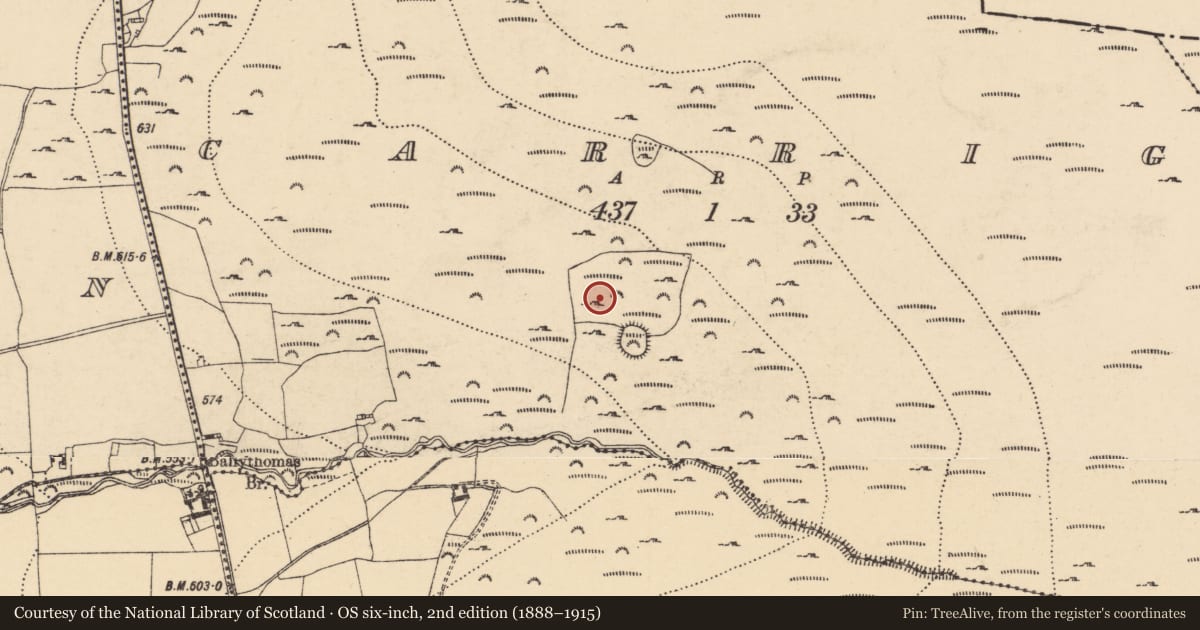 Ordnance Survey six-inch map, 2nd edition (1888–1915) covering the location of Souterrain, Carrig, County Wexford, with a pin at the register's coordinates