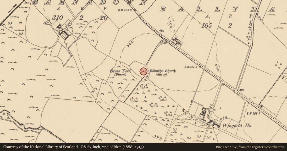 Ordnance Survey six-inch map, 2nd edition (1888–1915) covering the location of Church, Barnadown, County Wexford, with a pin at the register's coordinates
