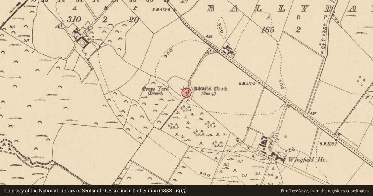Ordnance Survey six-inch map, 2nd edition (1888–1915) covering the location of Graveyard, Barnadown, County Wexford, with a pin at the register's coordinates