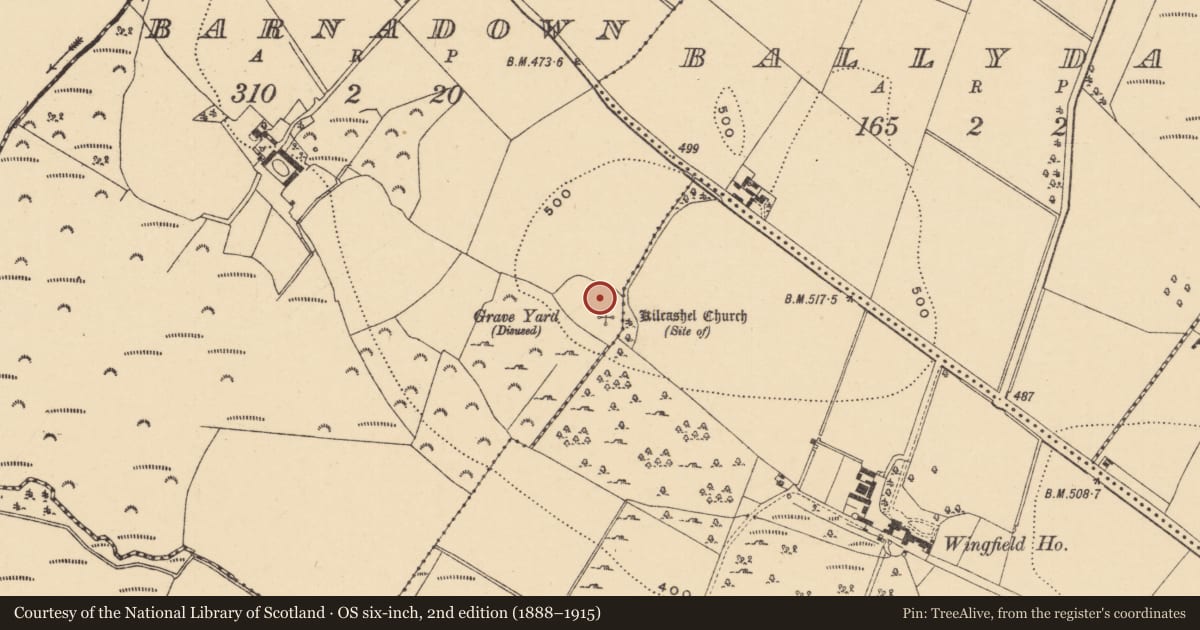 Ordnance Survey six-inch map, 2nd edition (1888–1915) covering the location of Ringfort - rath, Barnadown, County Wexford, with a pin at the register's coordinates