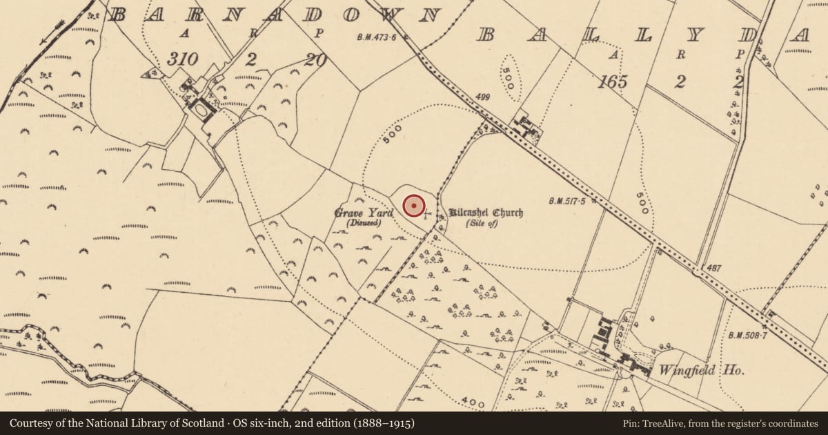 Ordnance Survey six-inch map, 2nd edition (1888–1915) covering the location of Ecclesiastical enclosure, Barnadown, Wingfield, County Wexford, with a pin at the register's coordinates