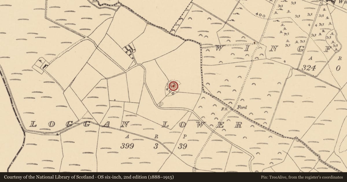 Ordnance Survey six-inch map, 2nd edition (1888–1915) covering the location of Castle - motte and bailey, Loggan Lower, County Wexford, with a pin at the register's coordinates