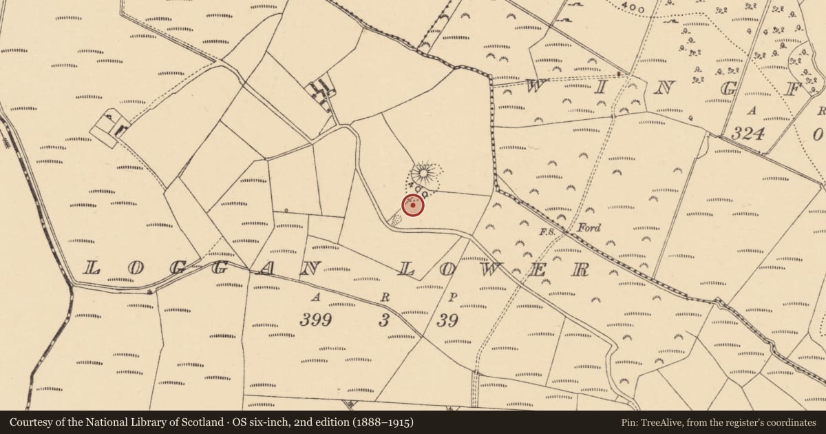 Ordnance Survey six-inch map, 2nd edition (1888–1915) covering the location of Flat cemetery, Loggan Lower, County Wexford, with a pin at the register's coordinates