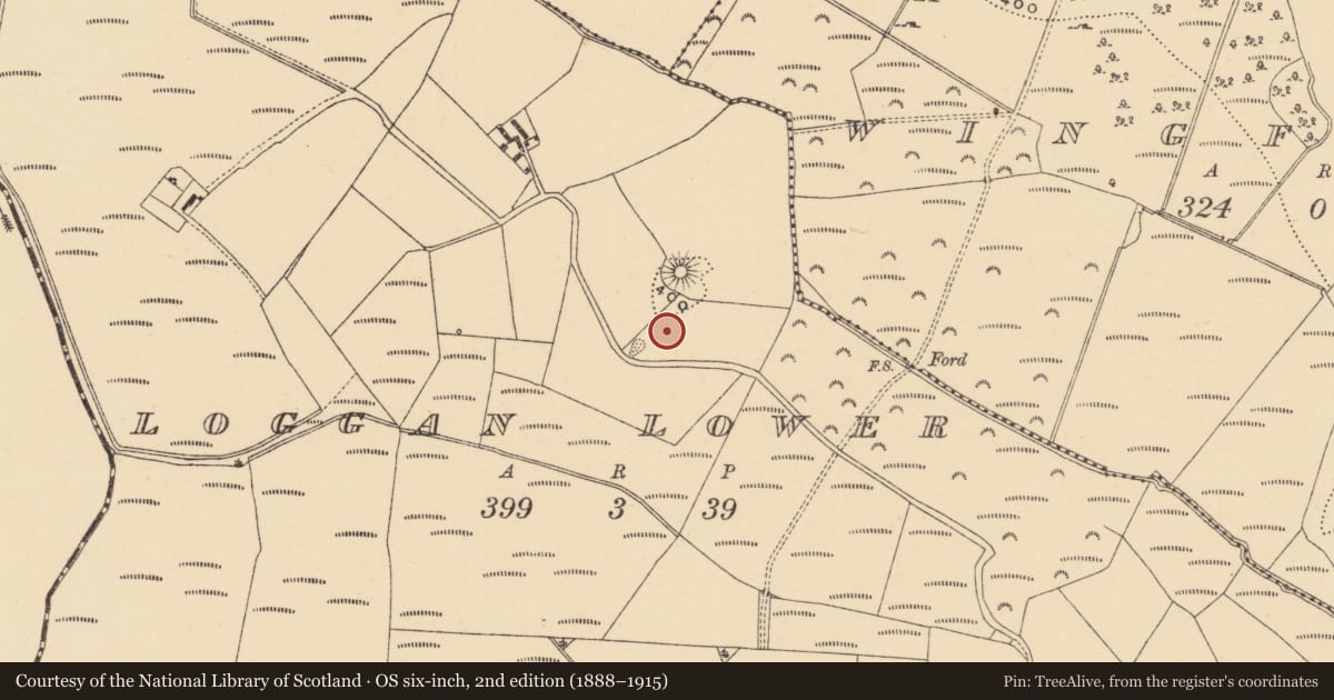 Ordnance Survey six-inch map, 2nd edition (1888–1915) covering the location of Standing stone, Loggan Lower, County Wexford, with a pin at the register's coordinates
